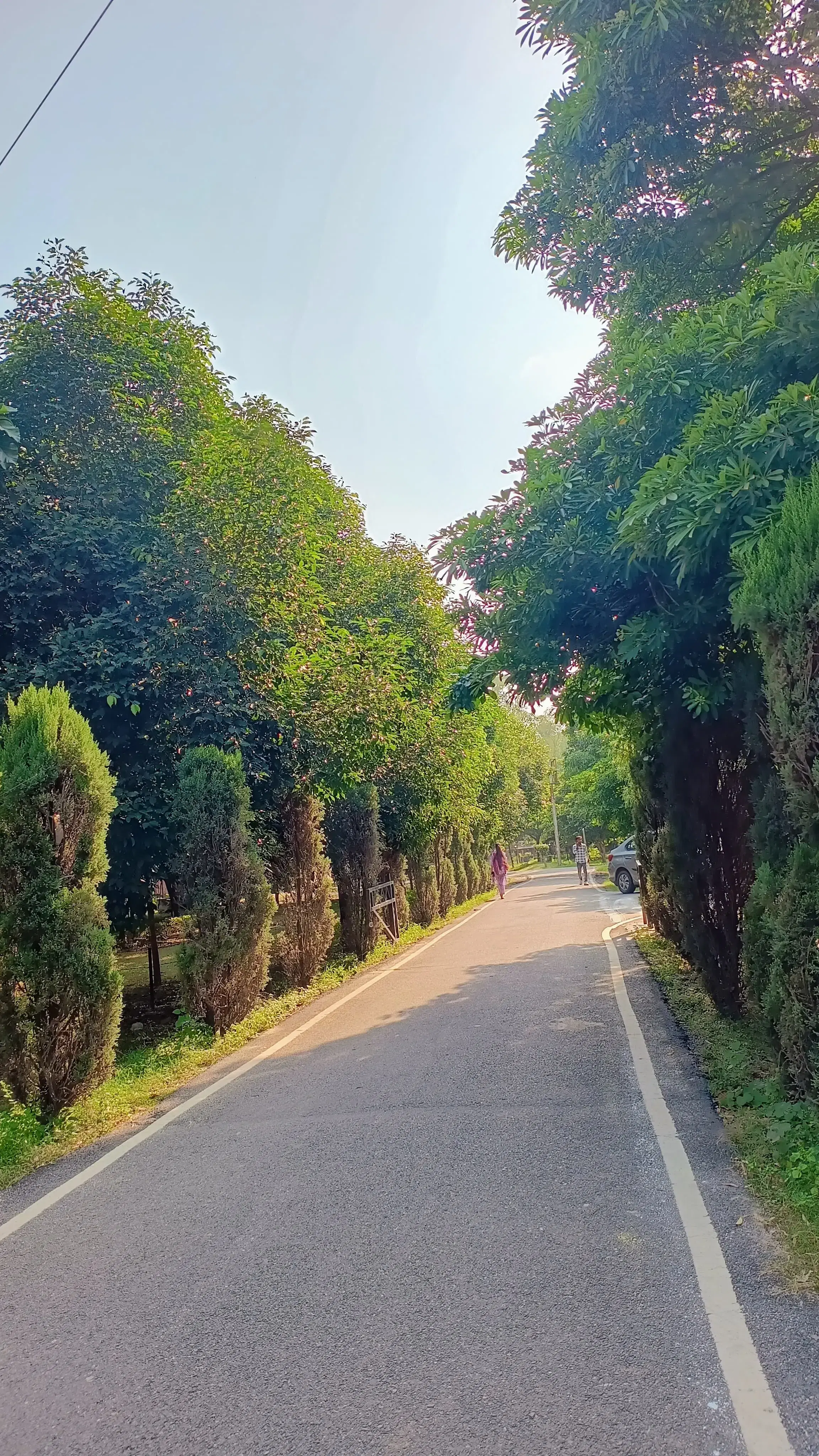 CCSU Campus photo 11